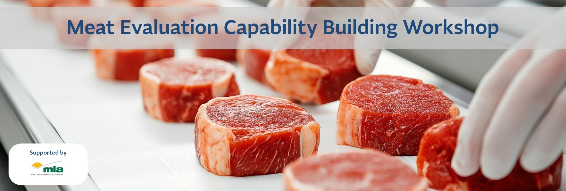Meat Evaluation and Capability Building